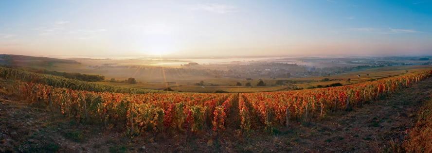 Logis Hotel L'Escargotiere Dijon Sud - Chenôve Dış mekan fotoğraf